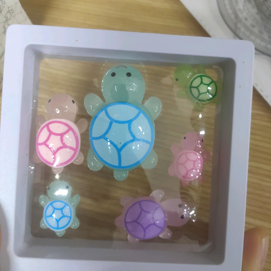 海风小黑瓶