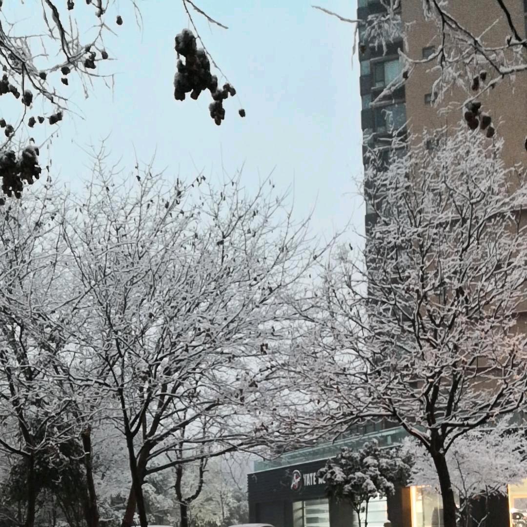 信仰决定选择