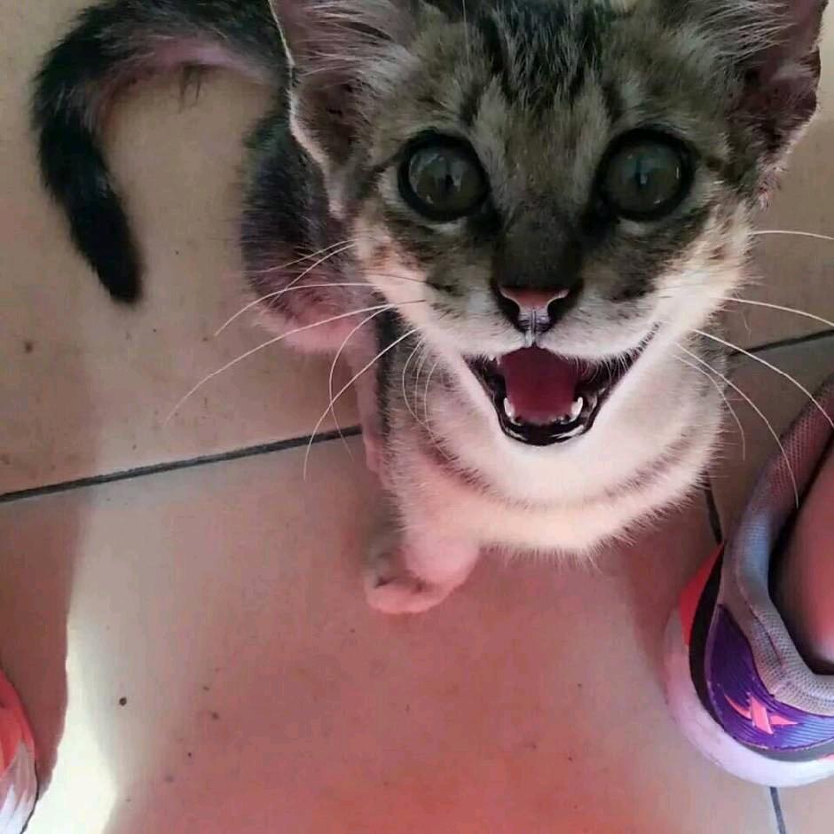 辉辉。。。。。