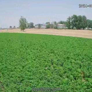 粮食收购