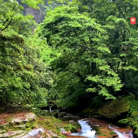 春风春雨