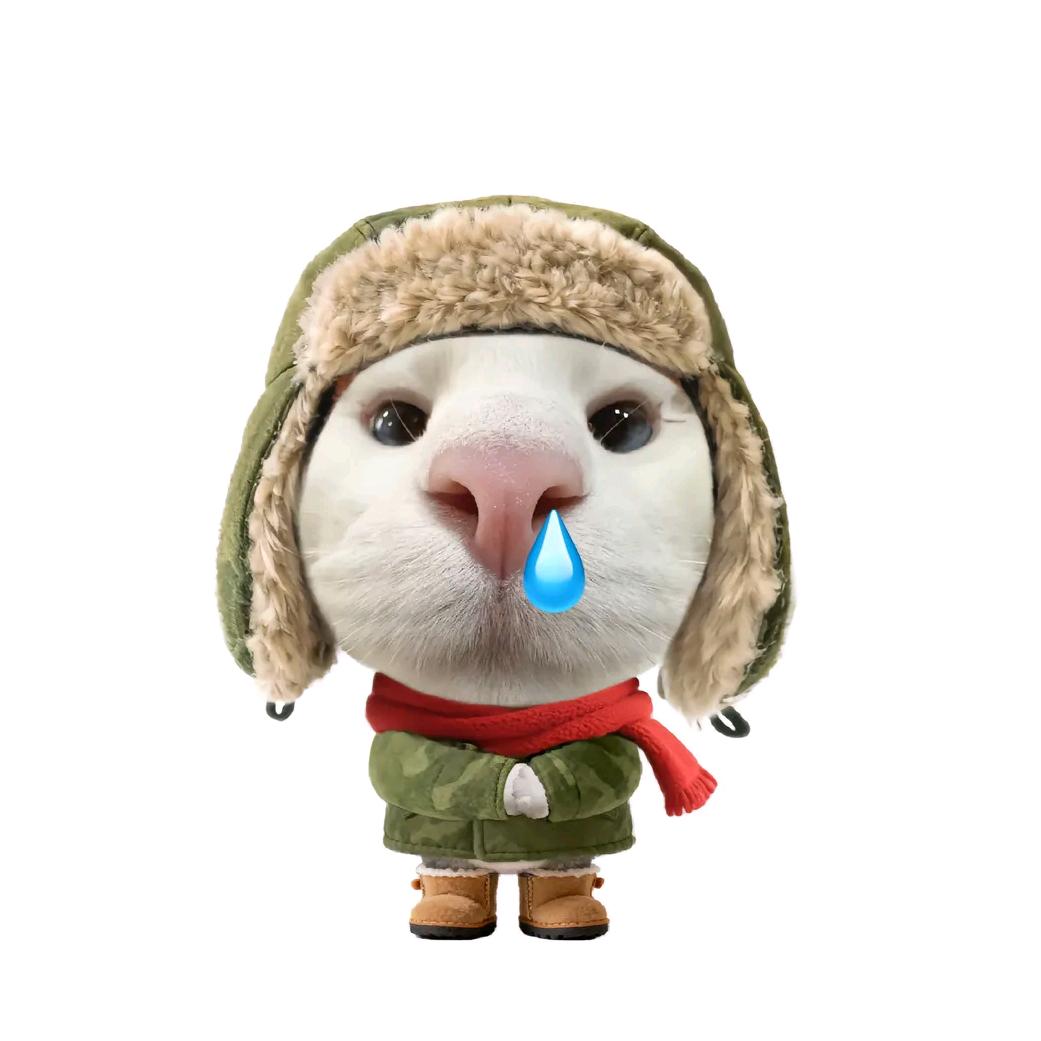 该用户正在过冬