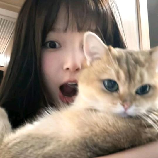 晚安了桐_