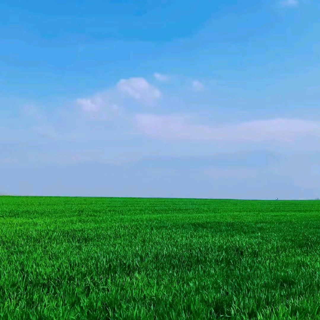 小苏助农大丰收