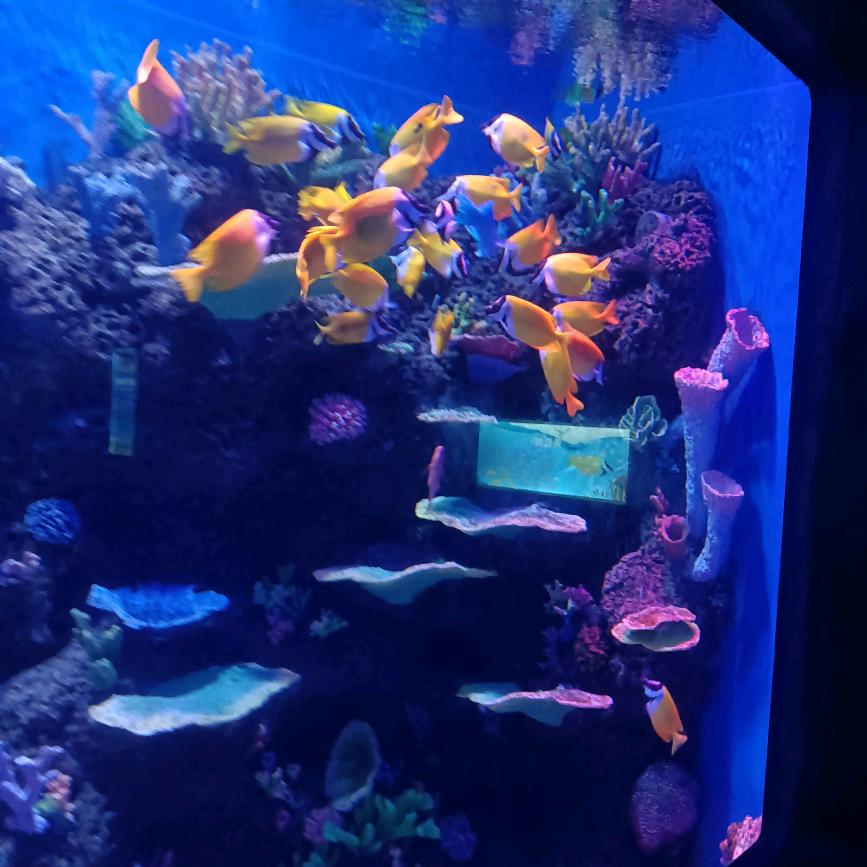 压滤机洗煤机械