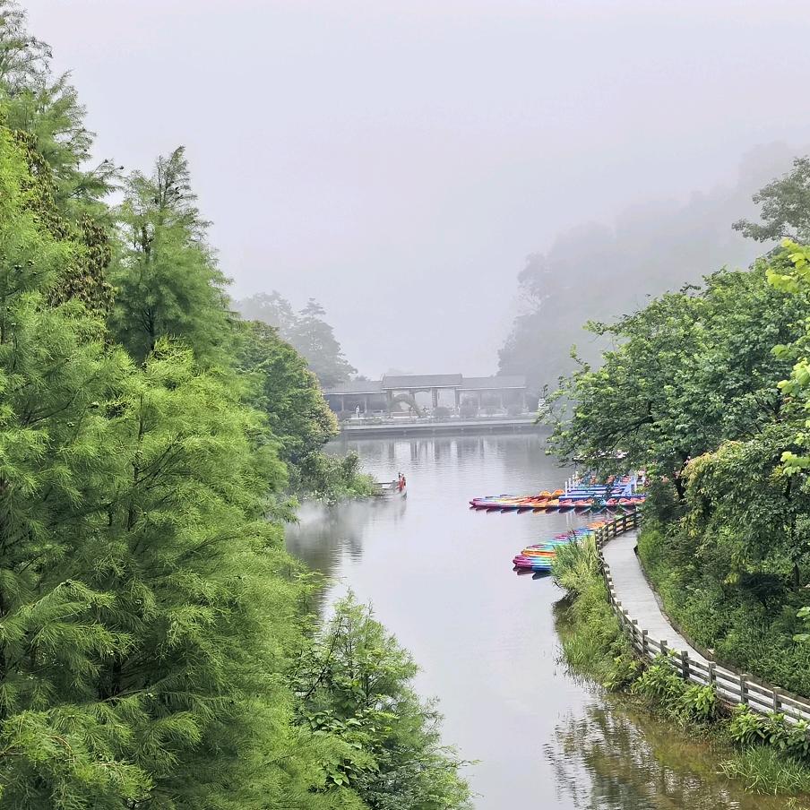 睁一眼闭一眼看社会