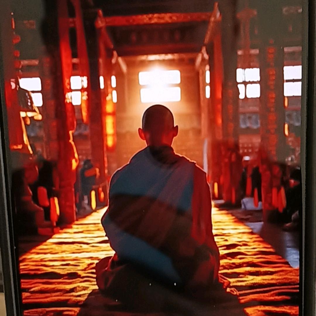 禅圆