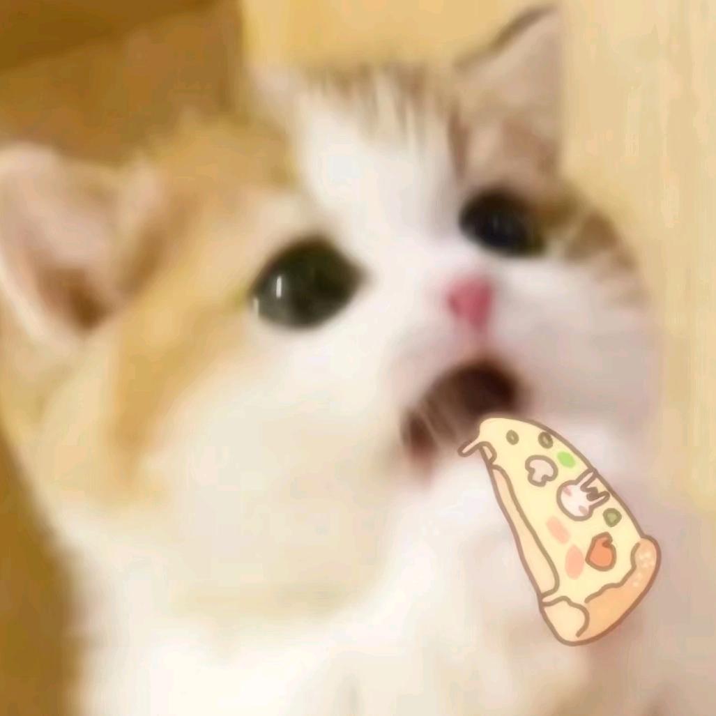 少一点心柿
