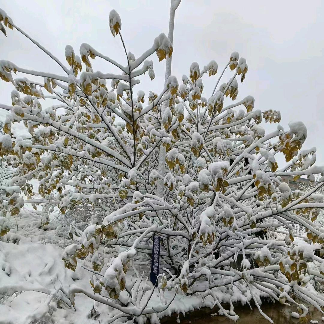 天青色等烟雨☔️
