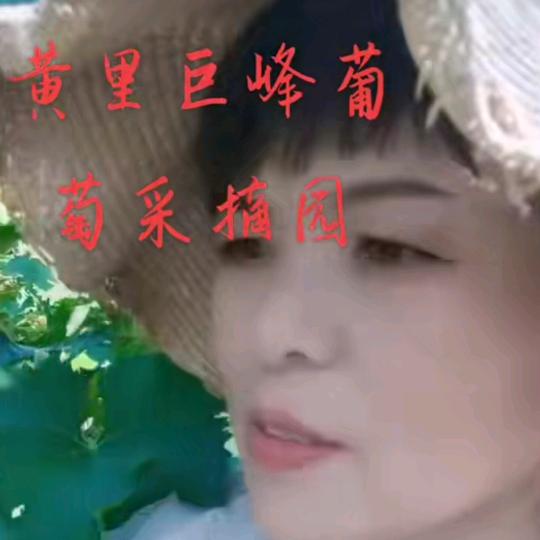 葡萄姐