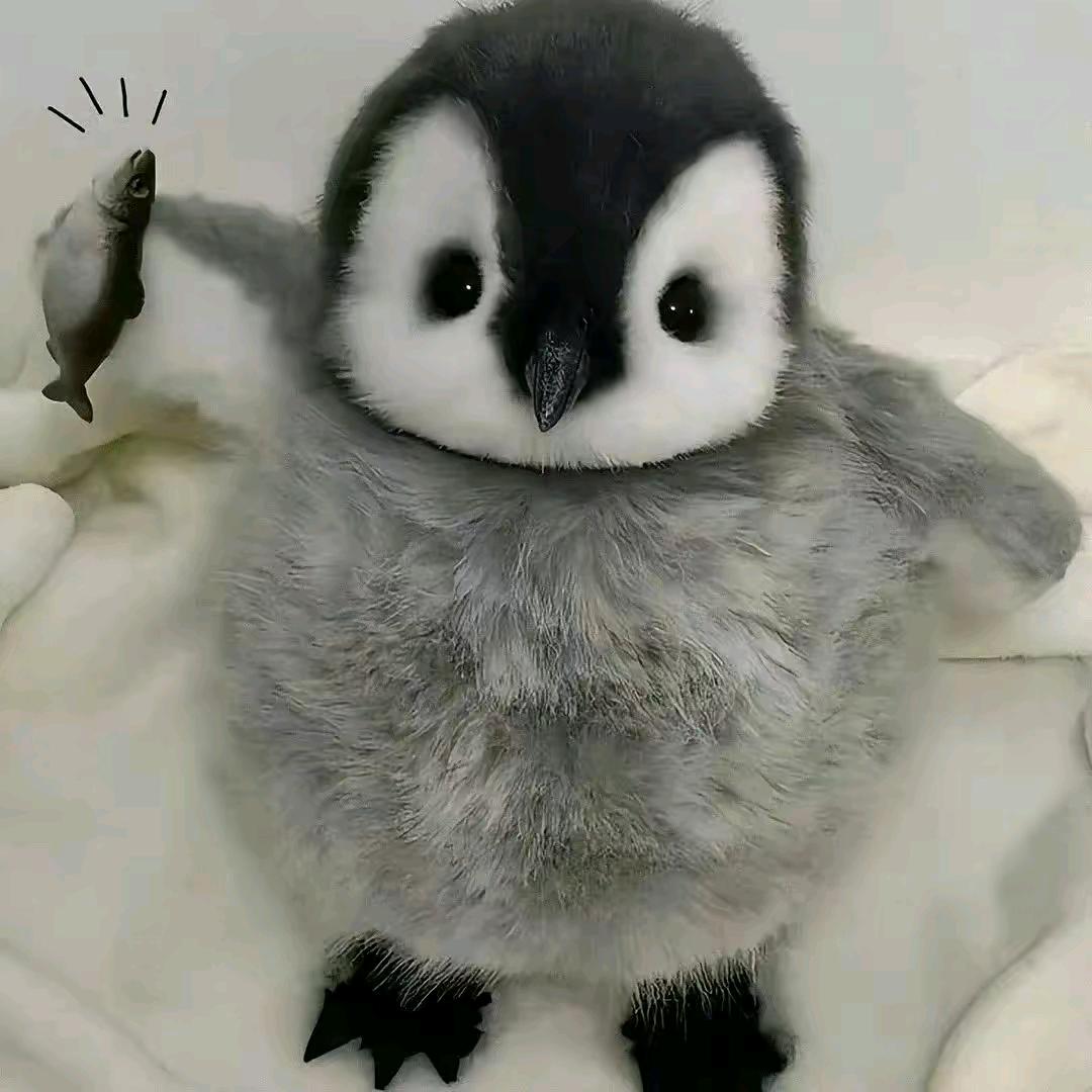 小晴宝好饿