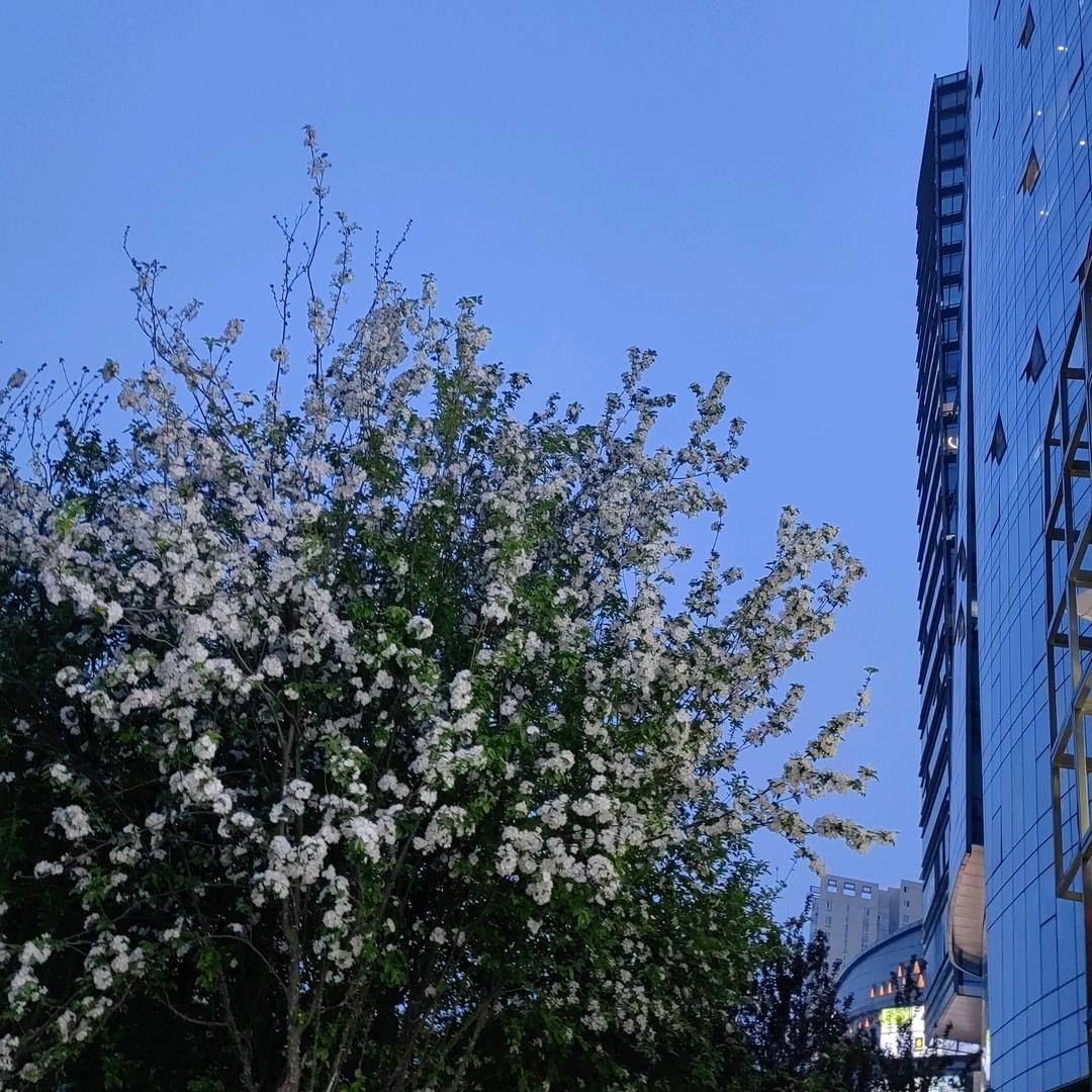 网师源-（一建铁路）