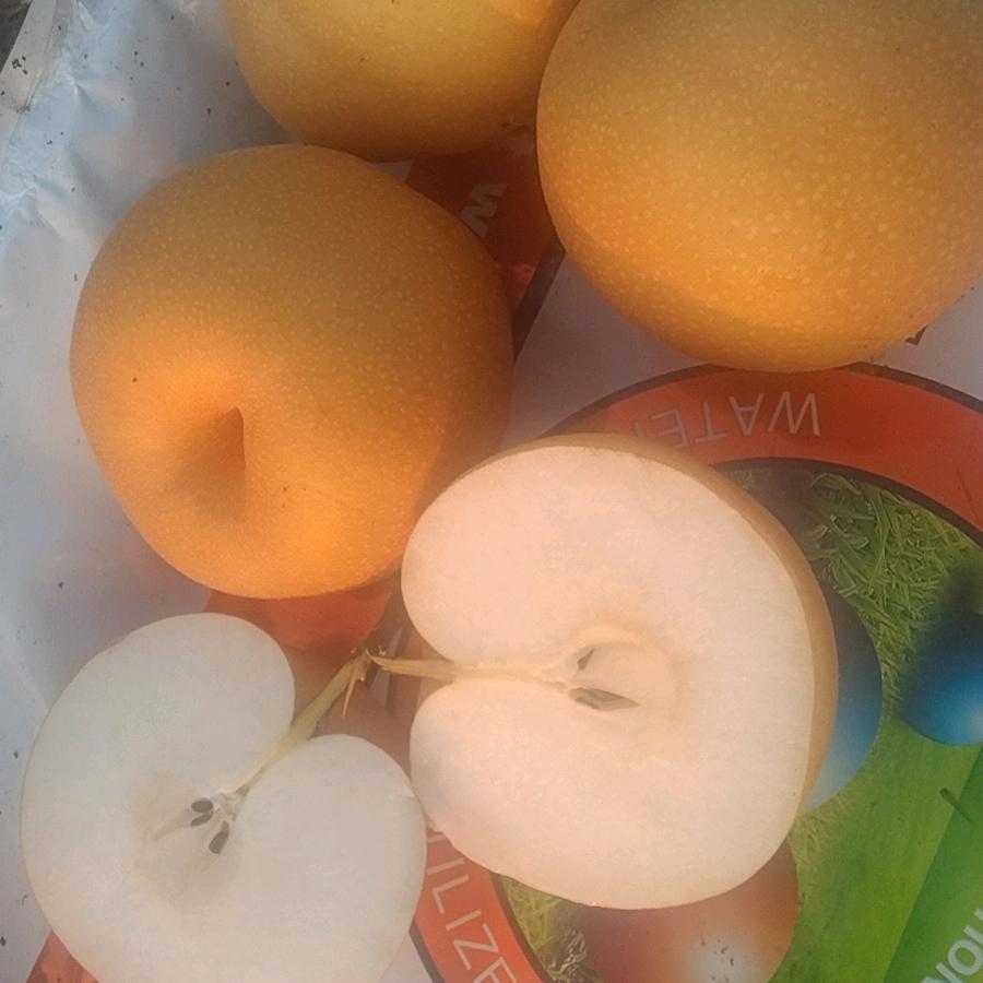 随缘🍎🍎