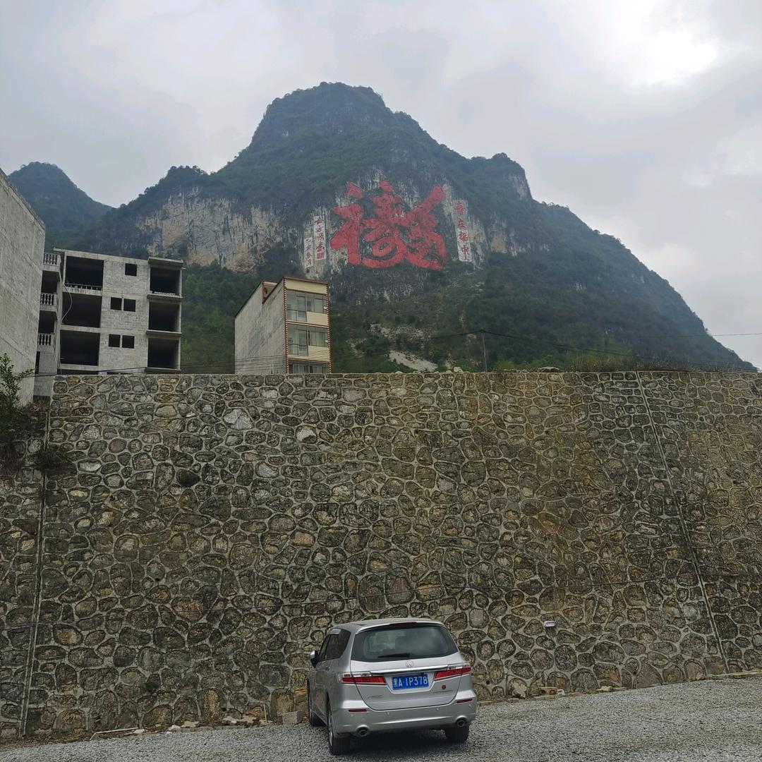 随波逐流