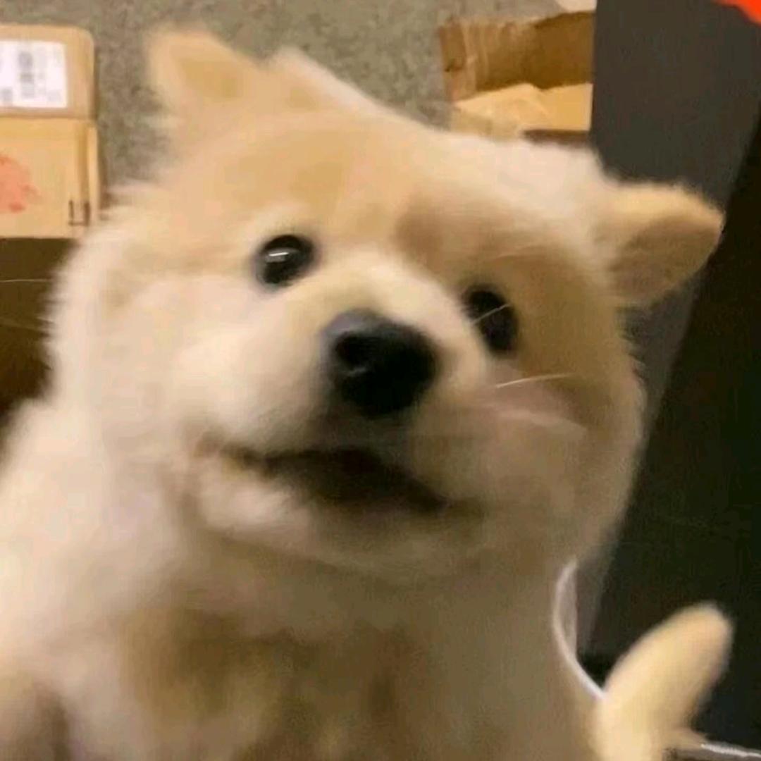 陈告退
