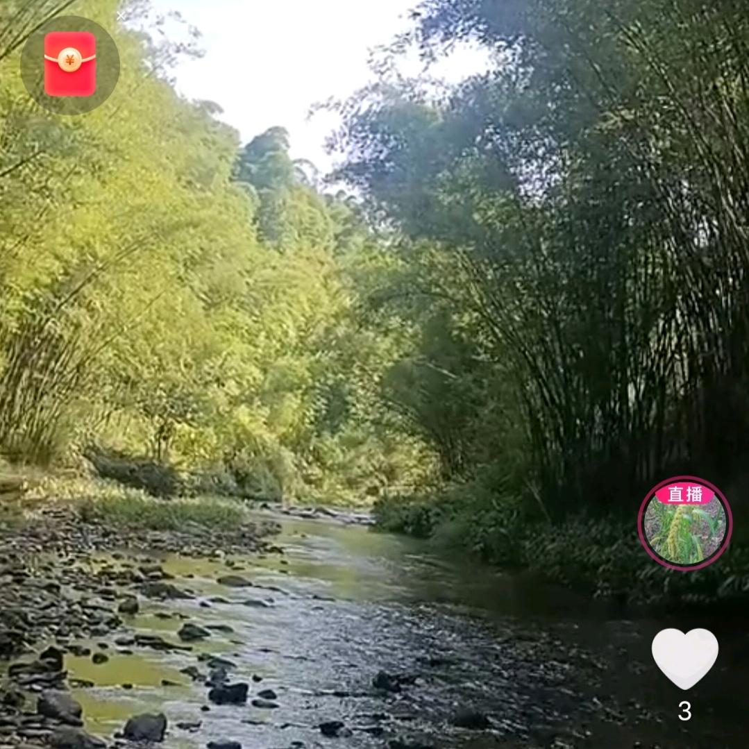 可爱妈