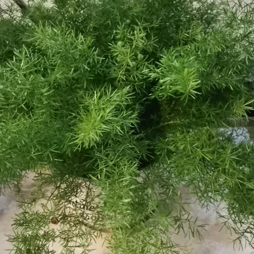 毎一天