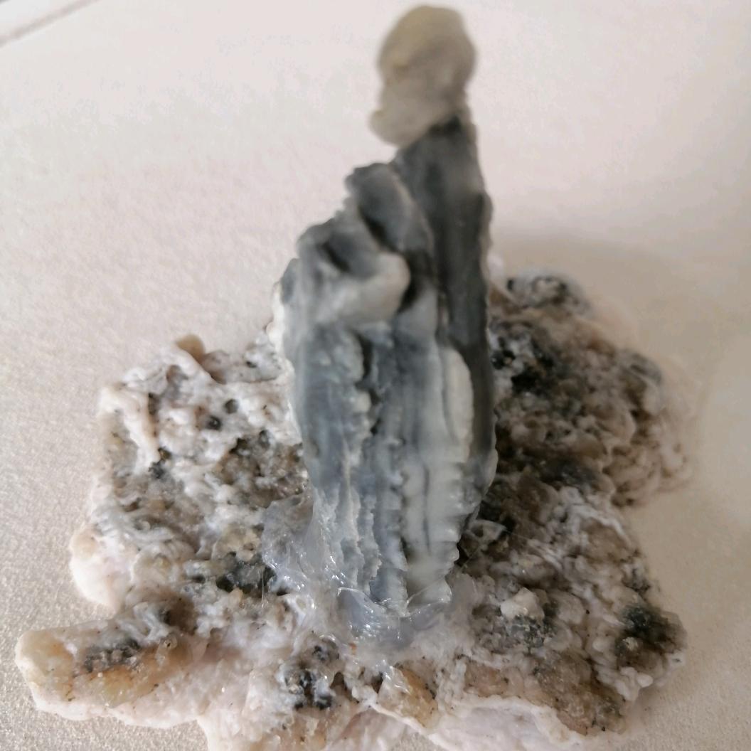 新疆奇石臻选阁