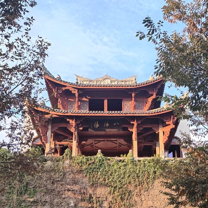 金华市罗汉鱼养殖场