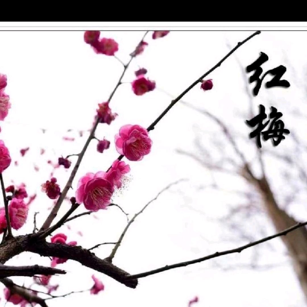 @人生感悟