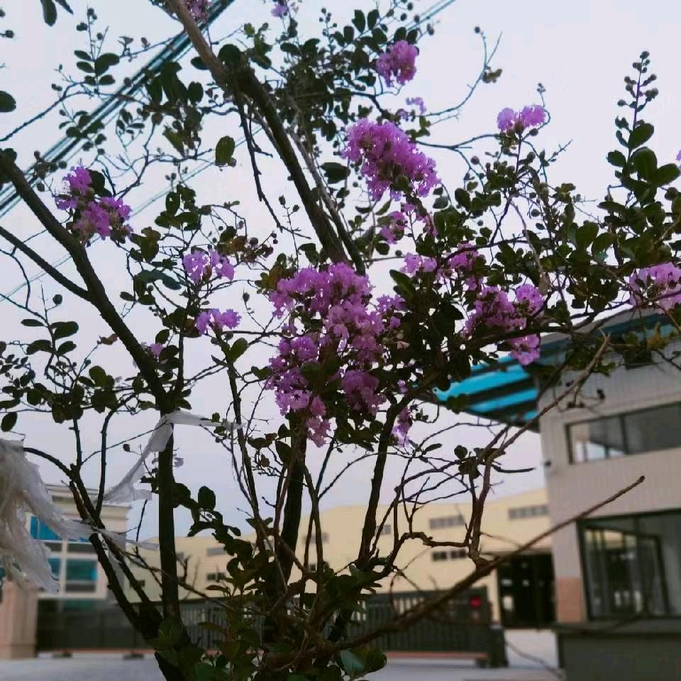 知足常乐。