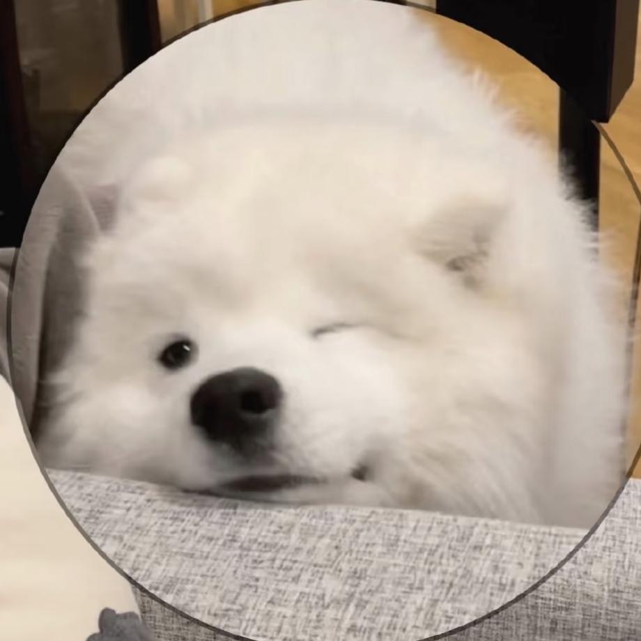 哈倪