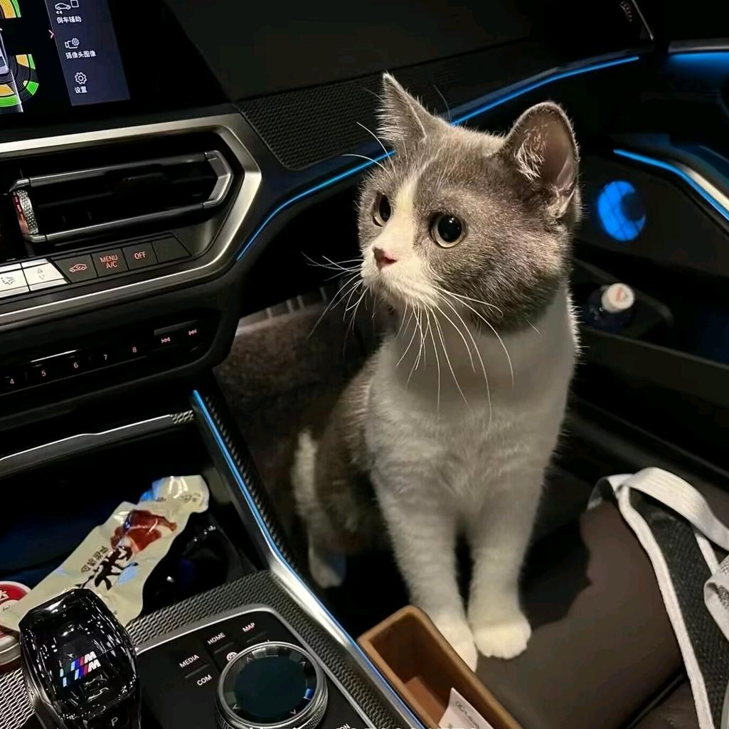 🌈阳里阳气（全能王）