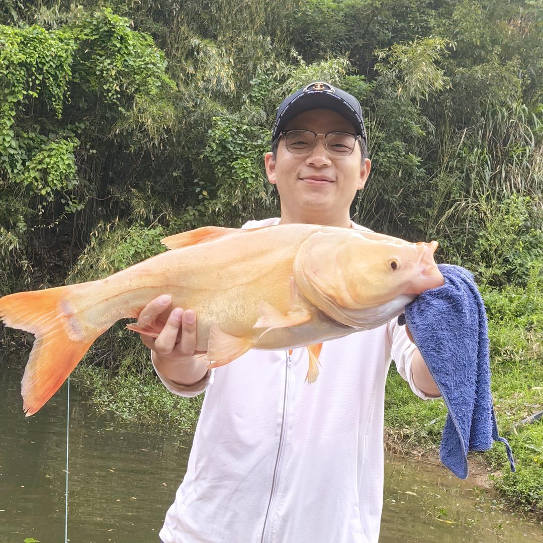 小X钓大🐟