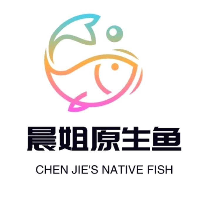 晨姐原生鱼