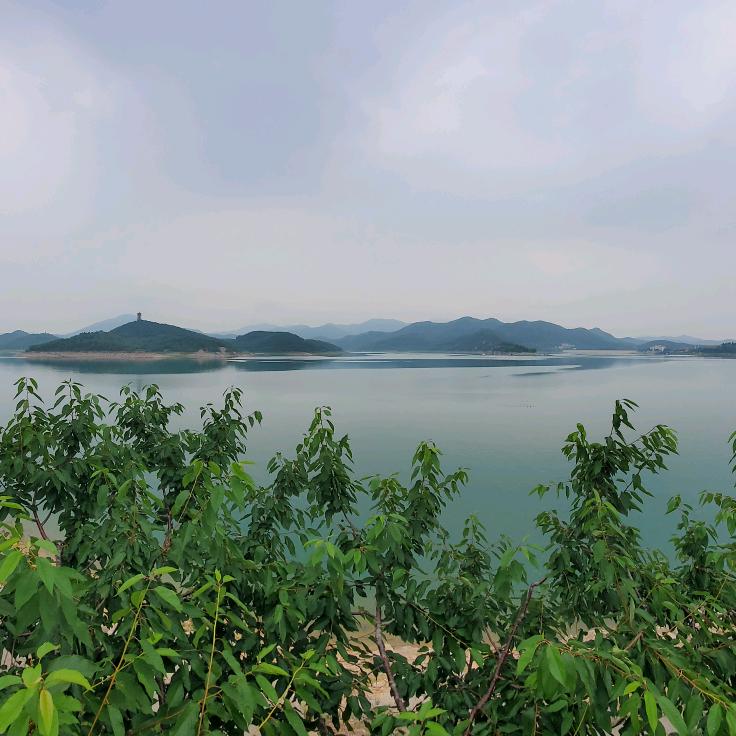 余生随心