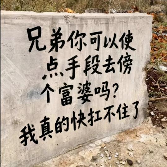 孤独的狗