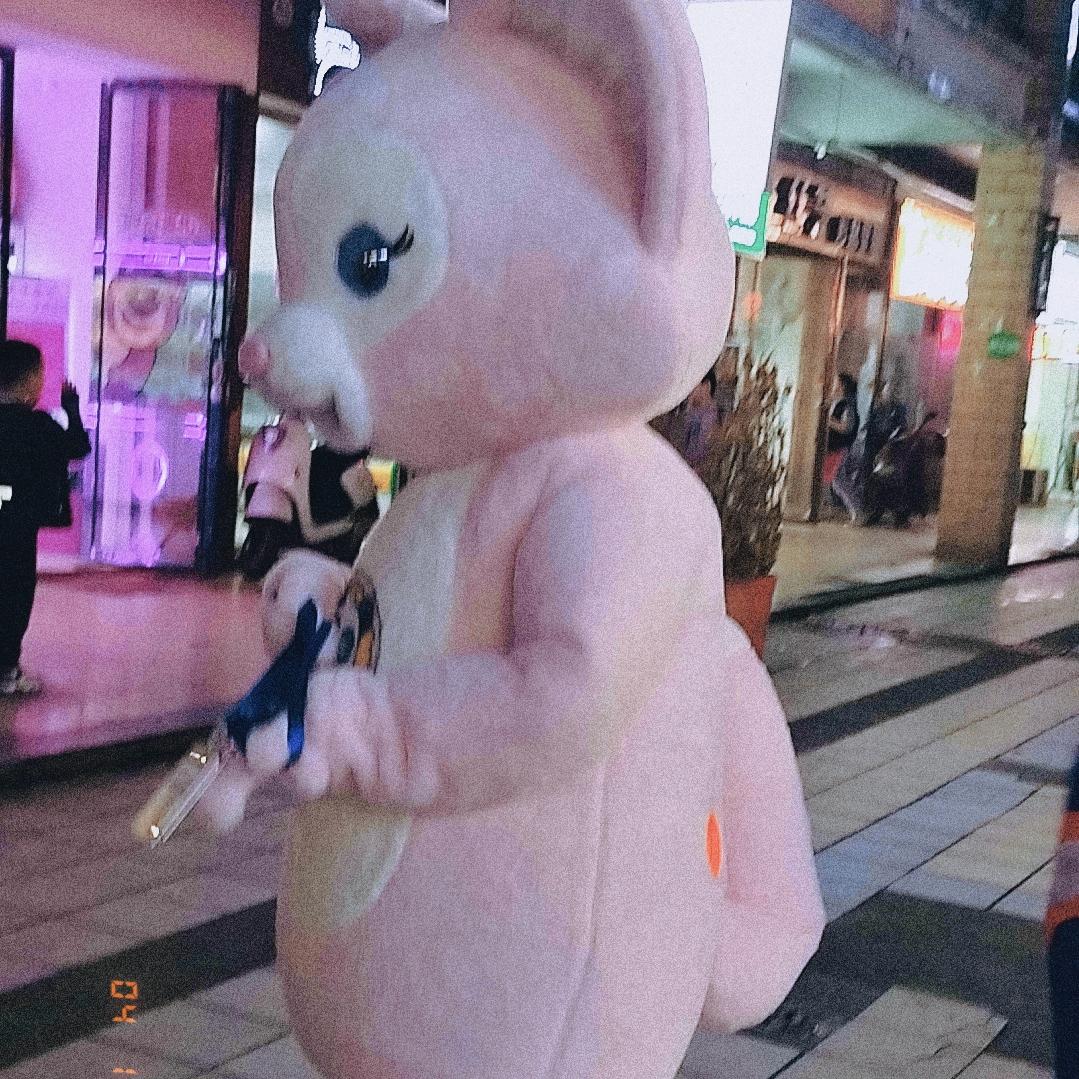 小虎家族