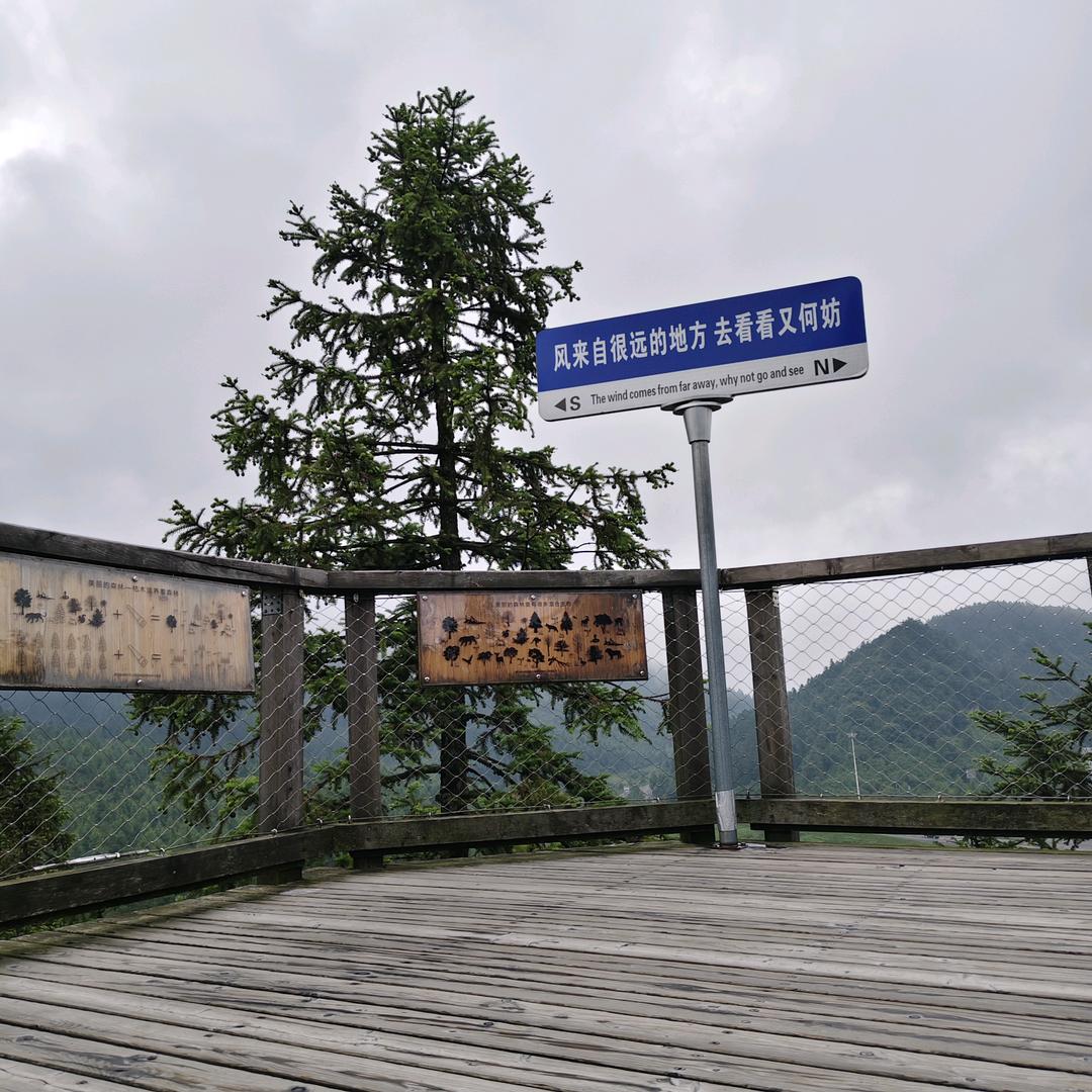 深情浅谈527