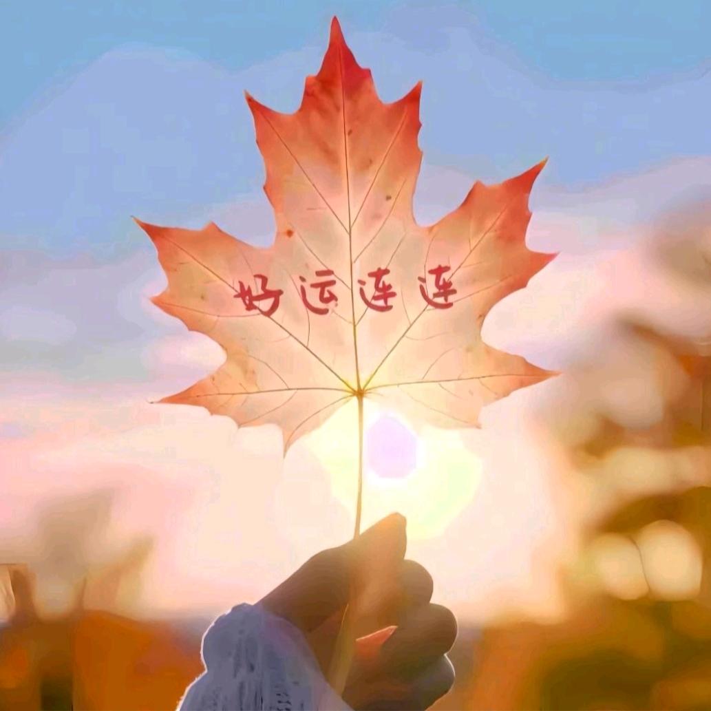 梦佳