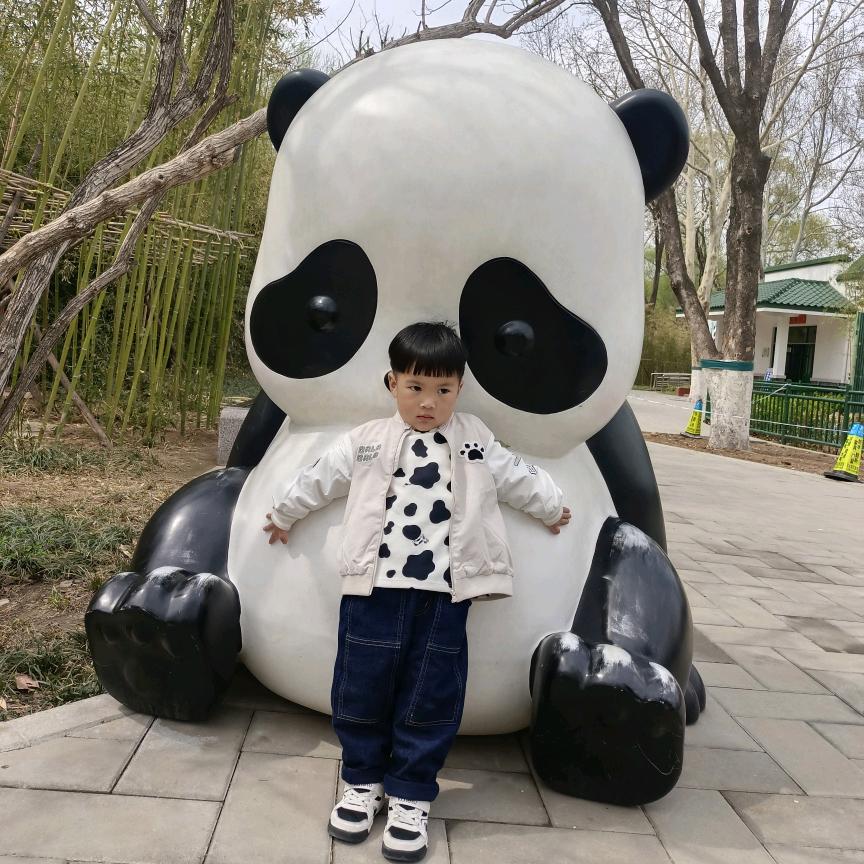是一一麻麻
