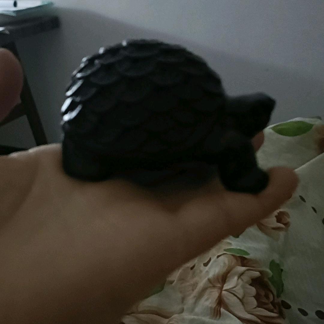 二姐属于飞哥