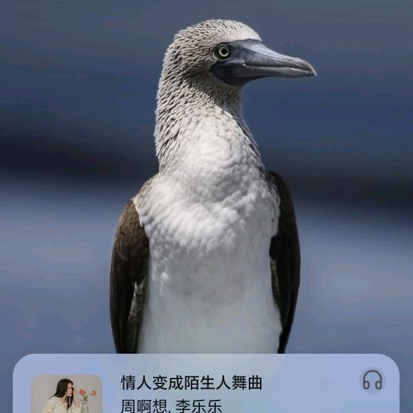用户3637123956763