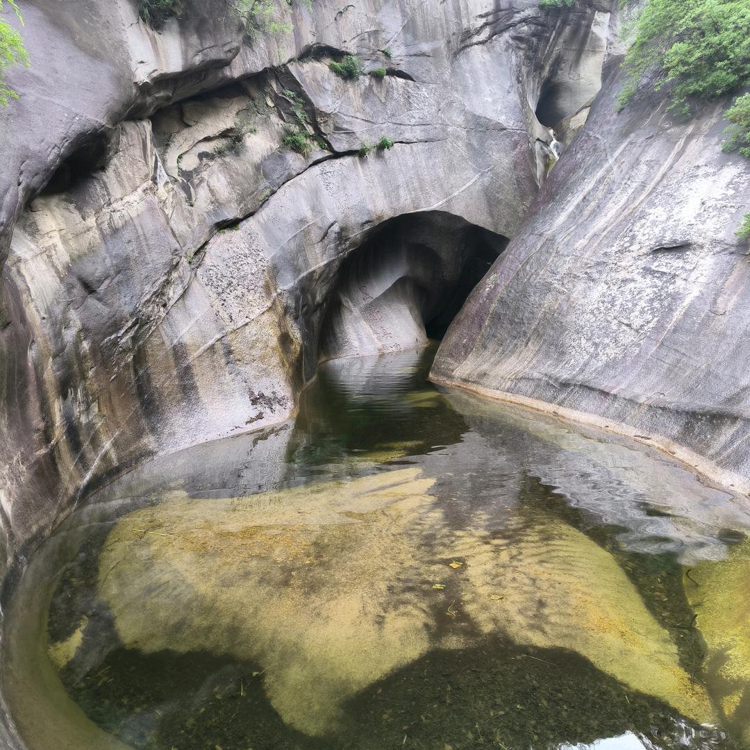 博辉