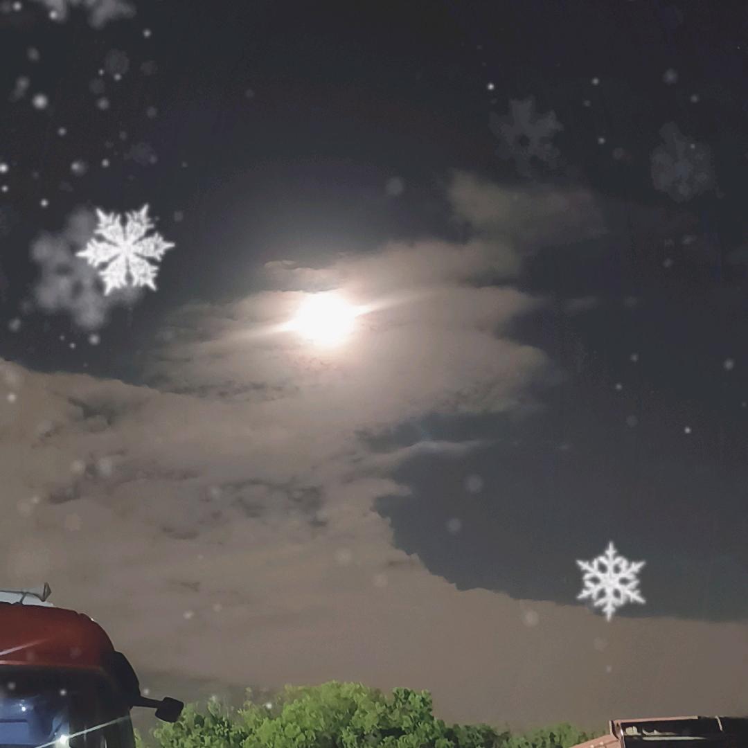 @错把敷衍当承诺