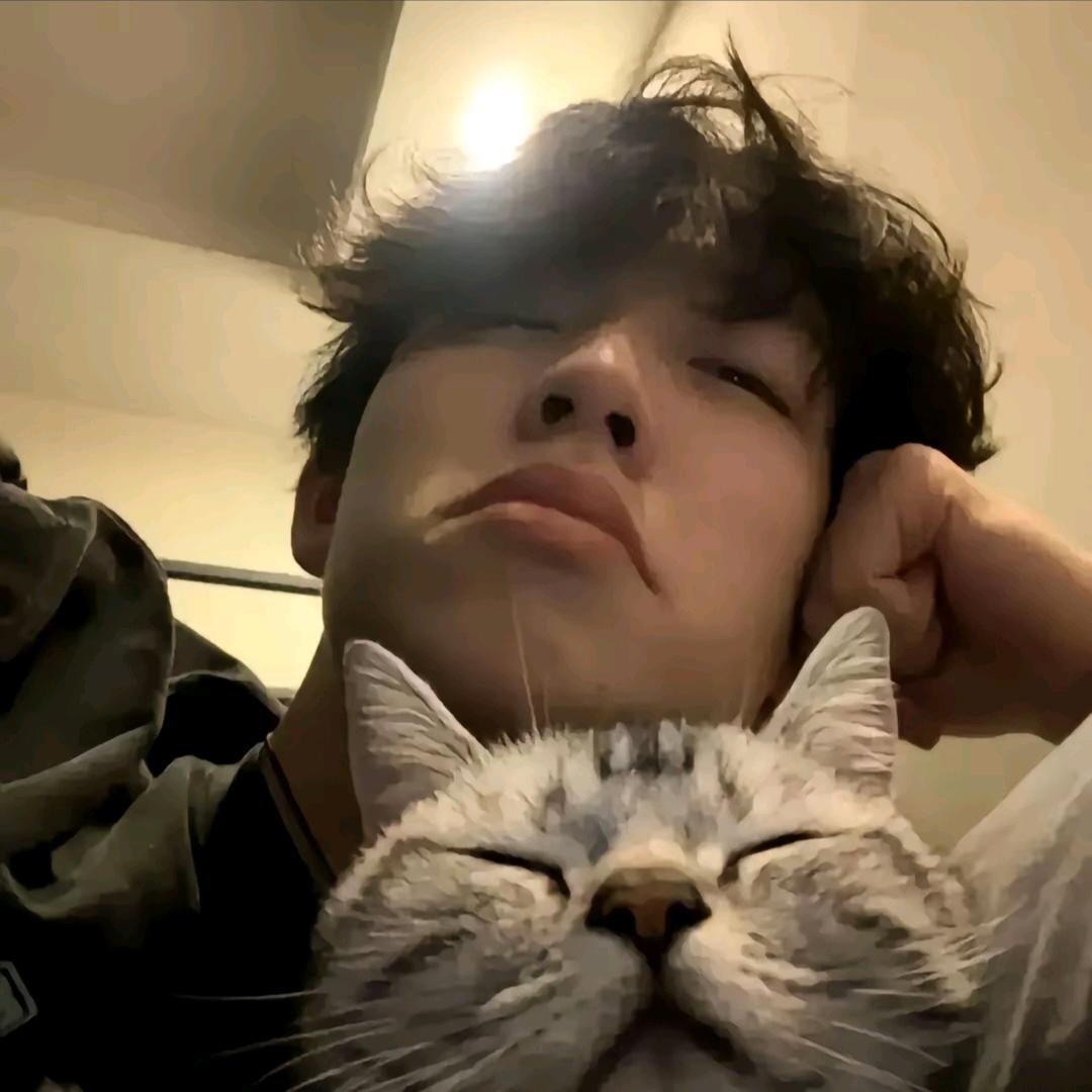 🌈🌈酸汤肥牛      ༽