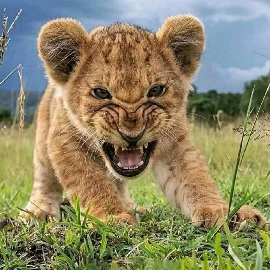 晨曦以东唯阳🌾