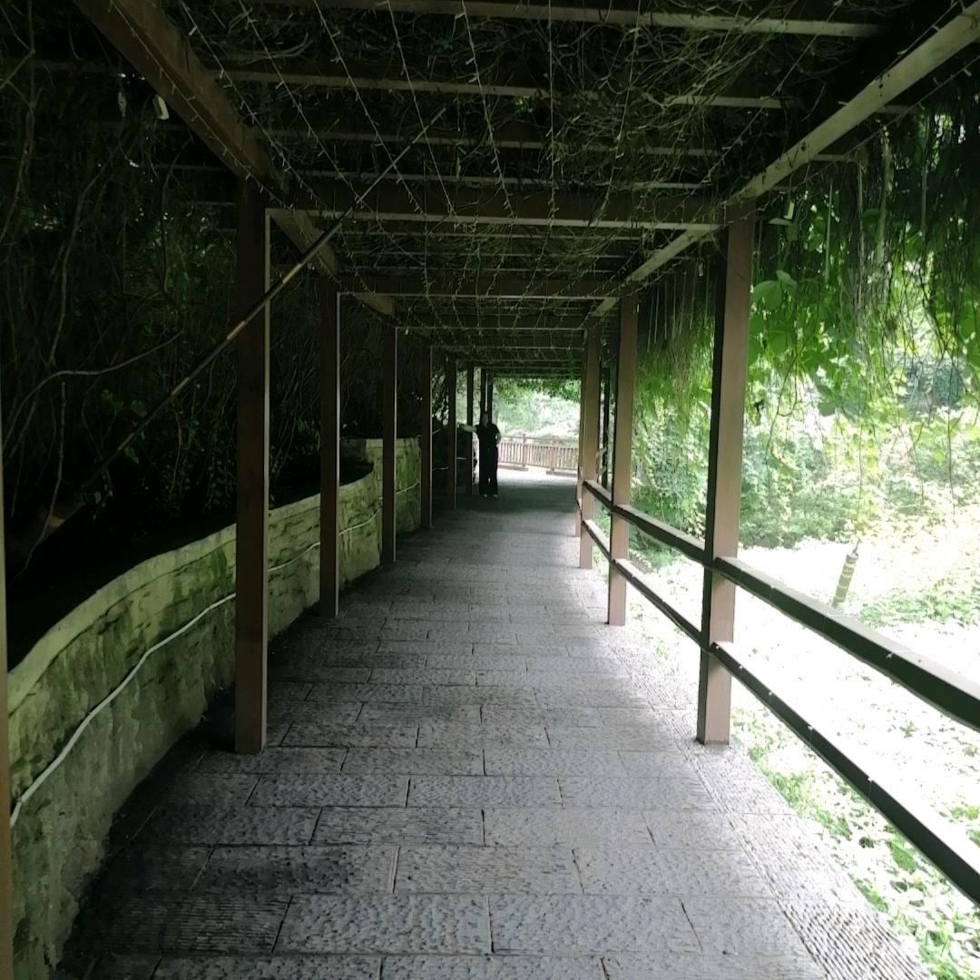 ＠陪我四百万一起成长