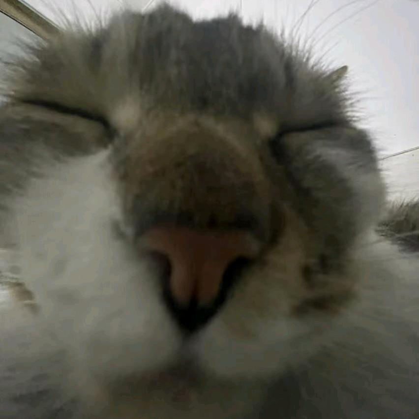 讨厌洗碗（｀Δ´）ゞ