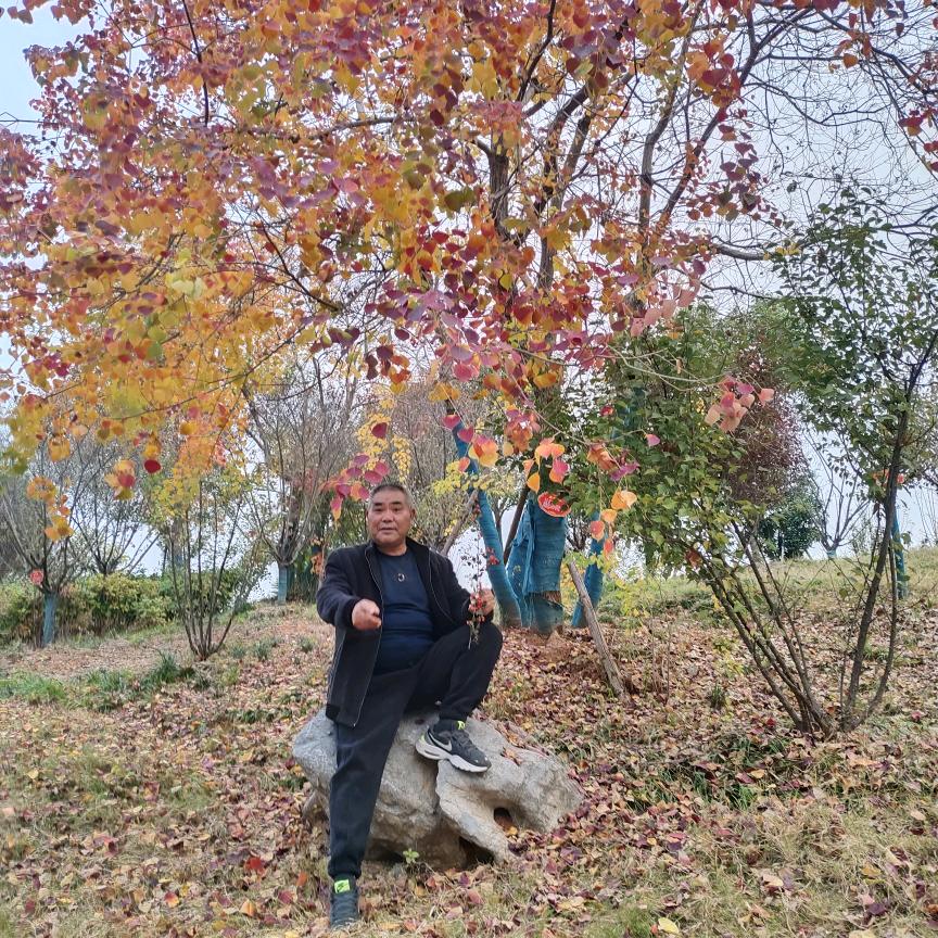 老王