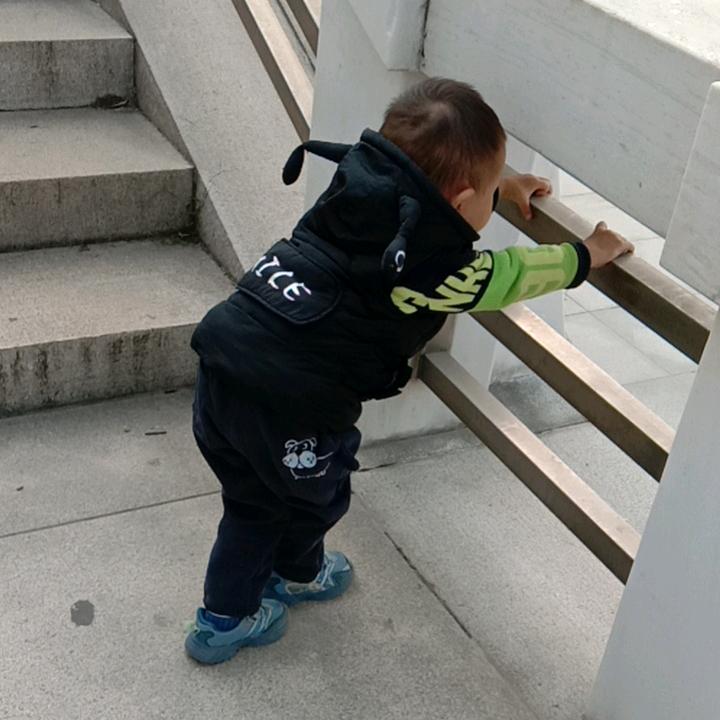 小白杨《从头再来》