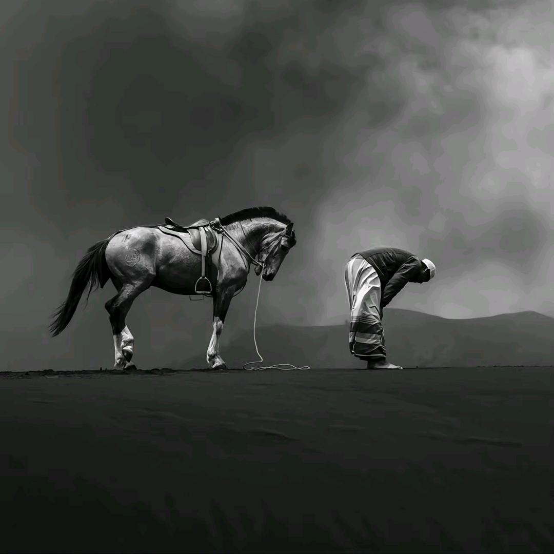 王疯子的（梦想）