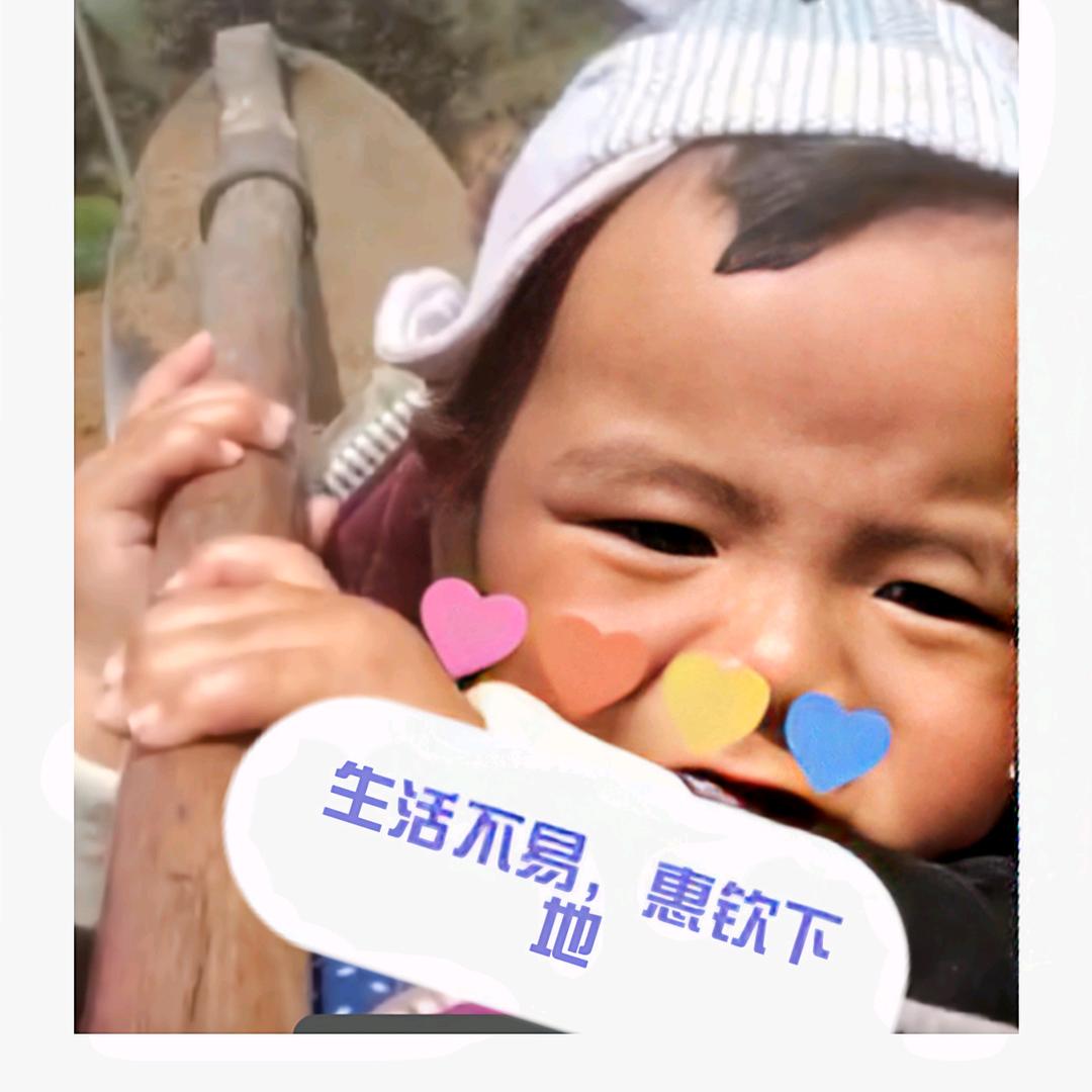 凉都大表哥