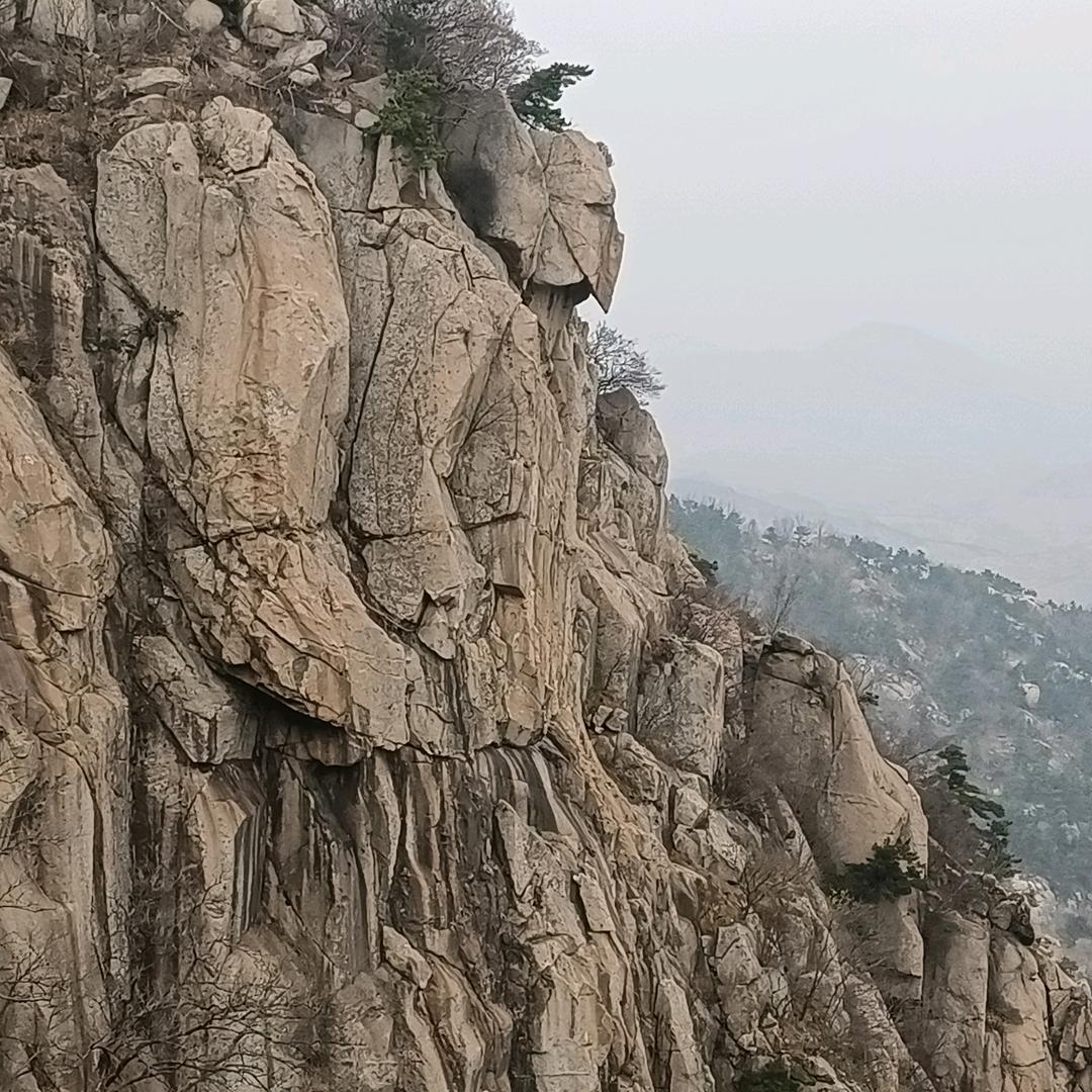 尊世情怀辉煌得分i直播号