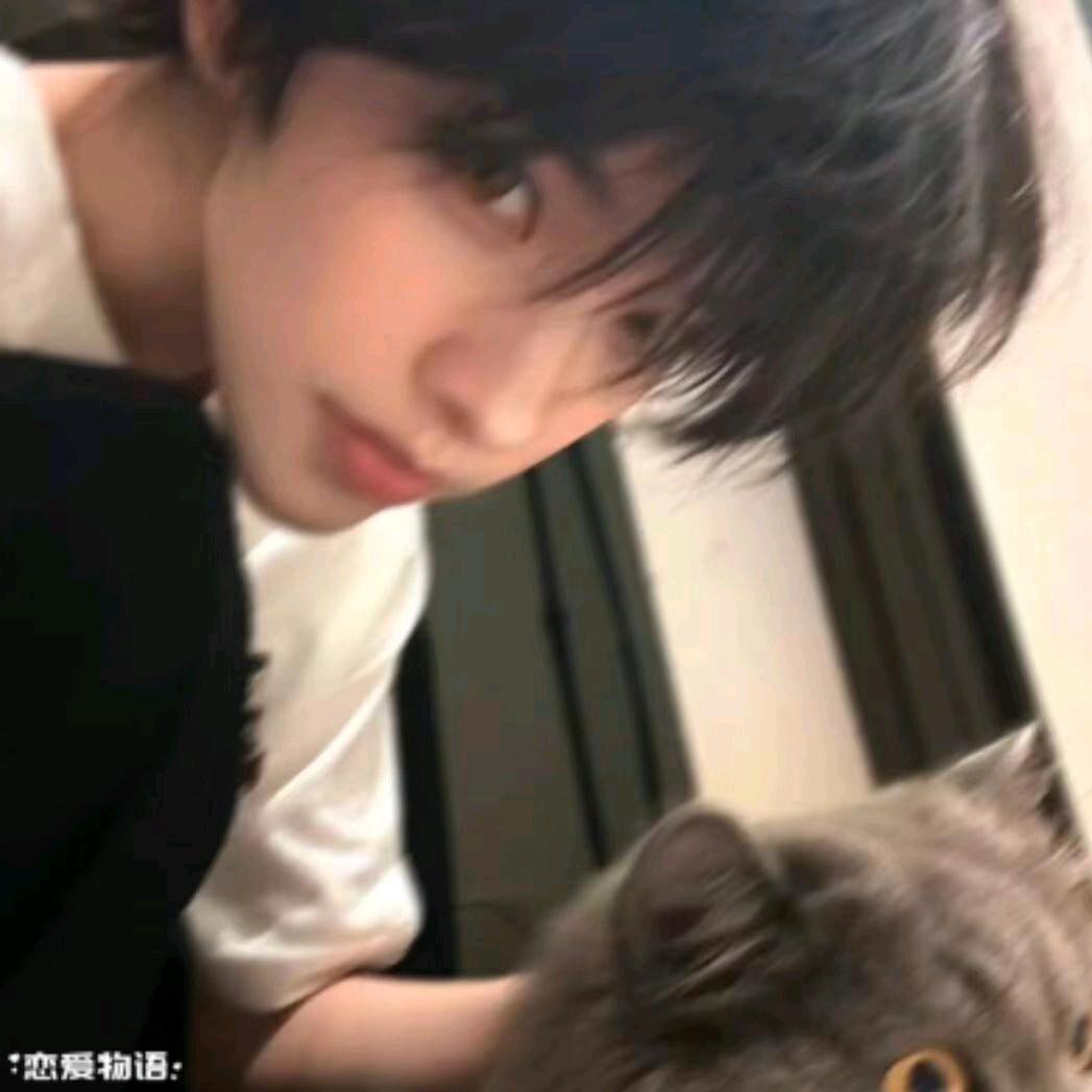 莫莫大炮