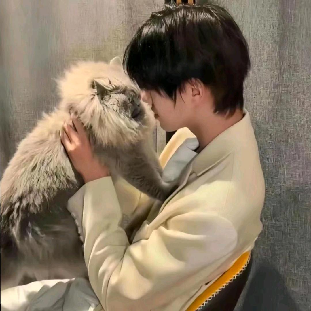 赵🌸